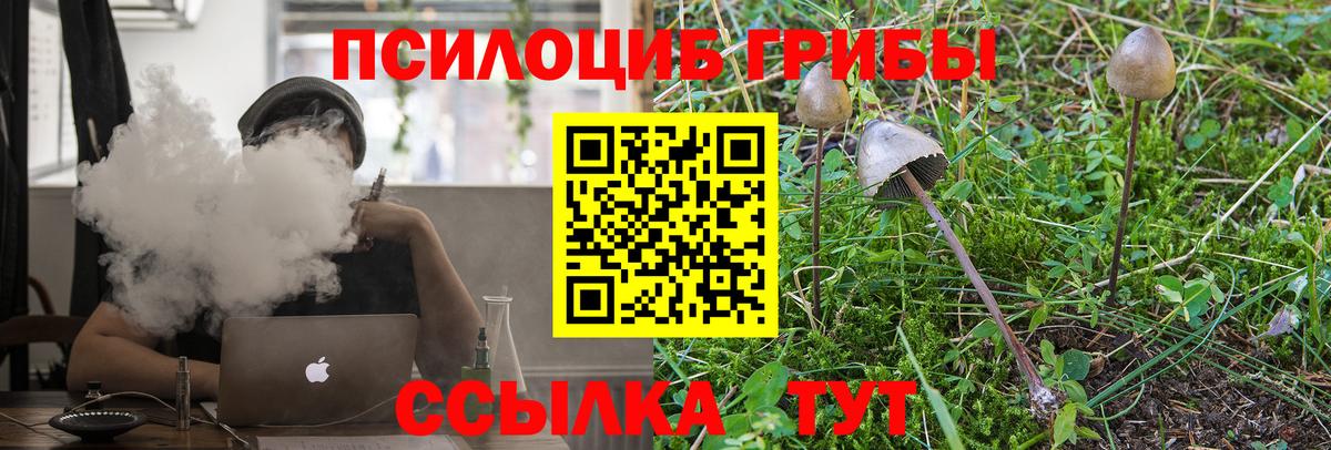 Ачхой-Мартан  Галлюциногенные грибы Psilocybe  Псилоцибиновые грибы Psilocybe  Вход с VPN 